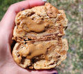 Biscoff Explosion | Sugary Times Studio