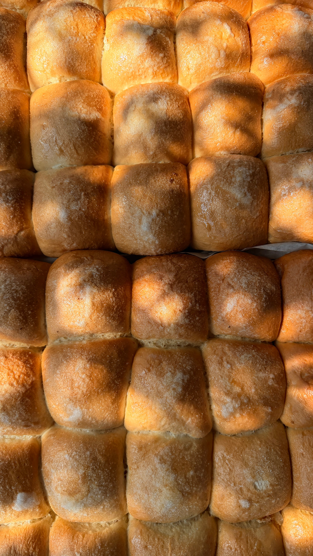 Piñita Sweet Bread | 6-Pack