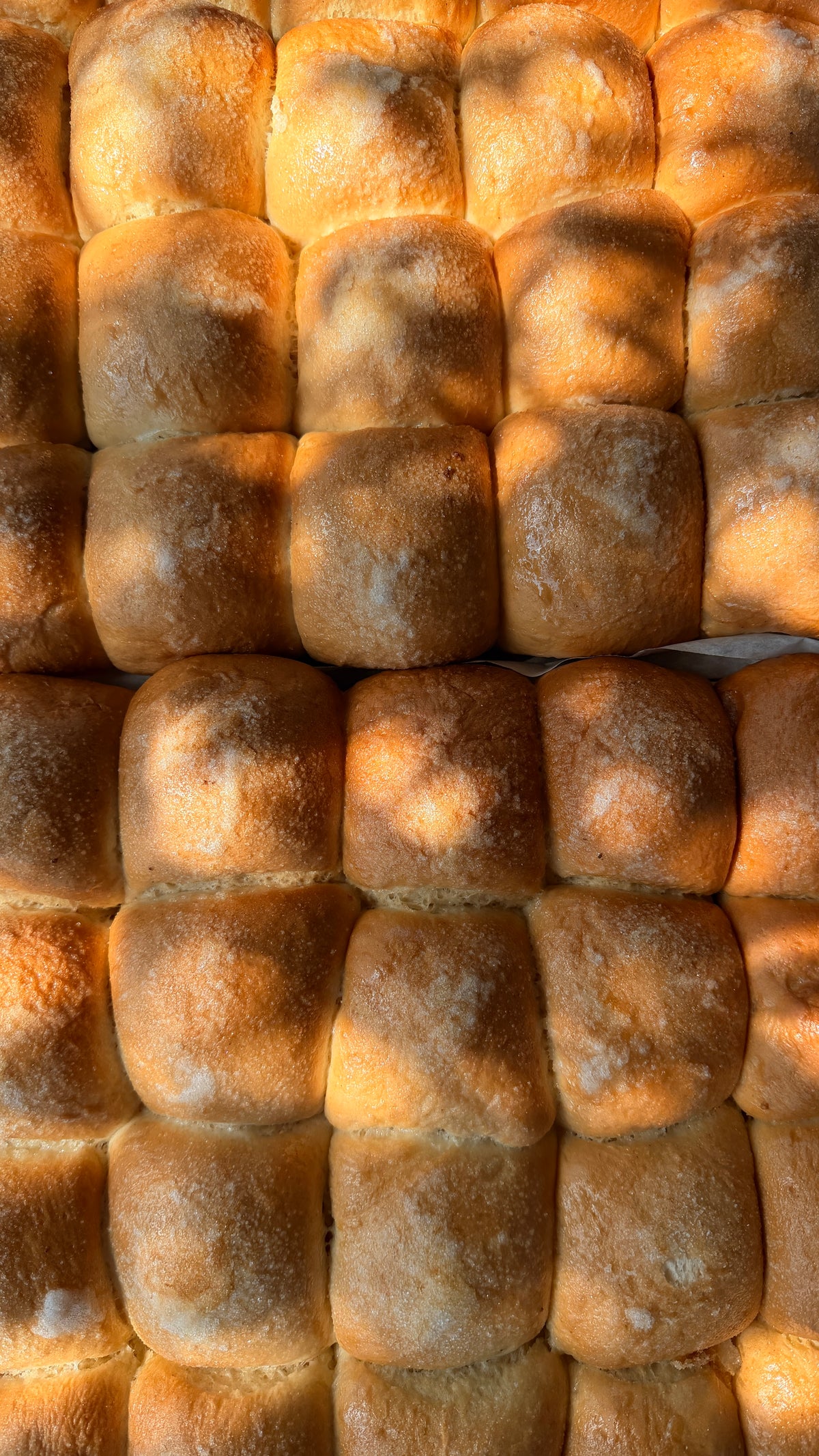 Piñita Sweet Bread | 6-Pack